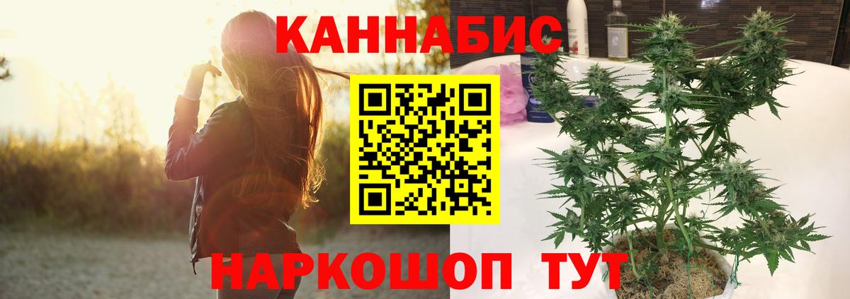 Ишим  Бошки Шишки VHQ  Бошки Шишки White Widow  Шишки марихуана Bruce Banner  Вход с VPN 